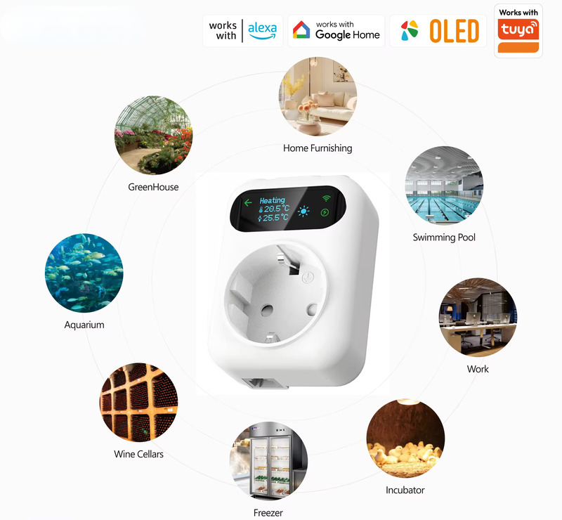 1724385438225573.jpg 2.jpg