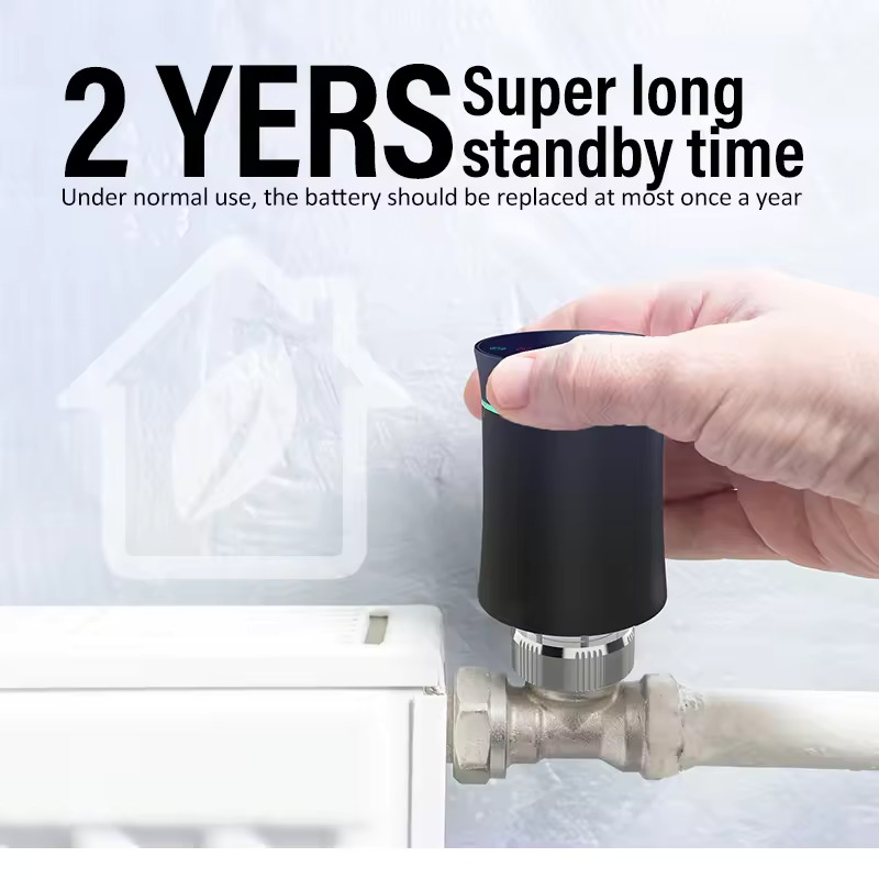 1724421177971687.jpg 4.jpg